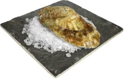 King Caesar Oyster