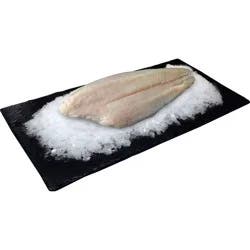 Fresh Atlantic Flounder Fillet