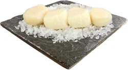 Fresh Maine Dayboat Sea Scallops