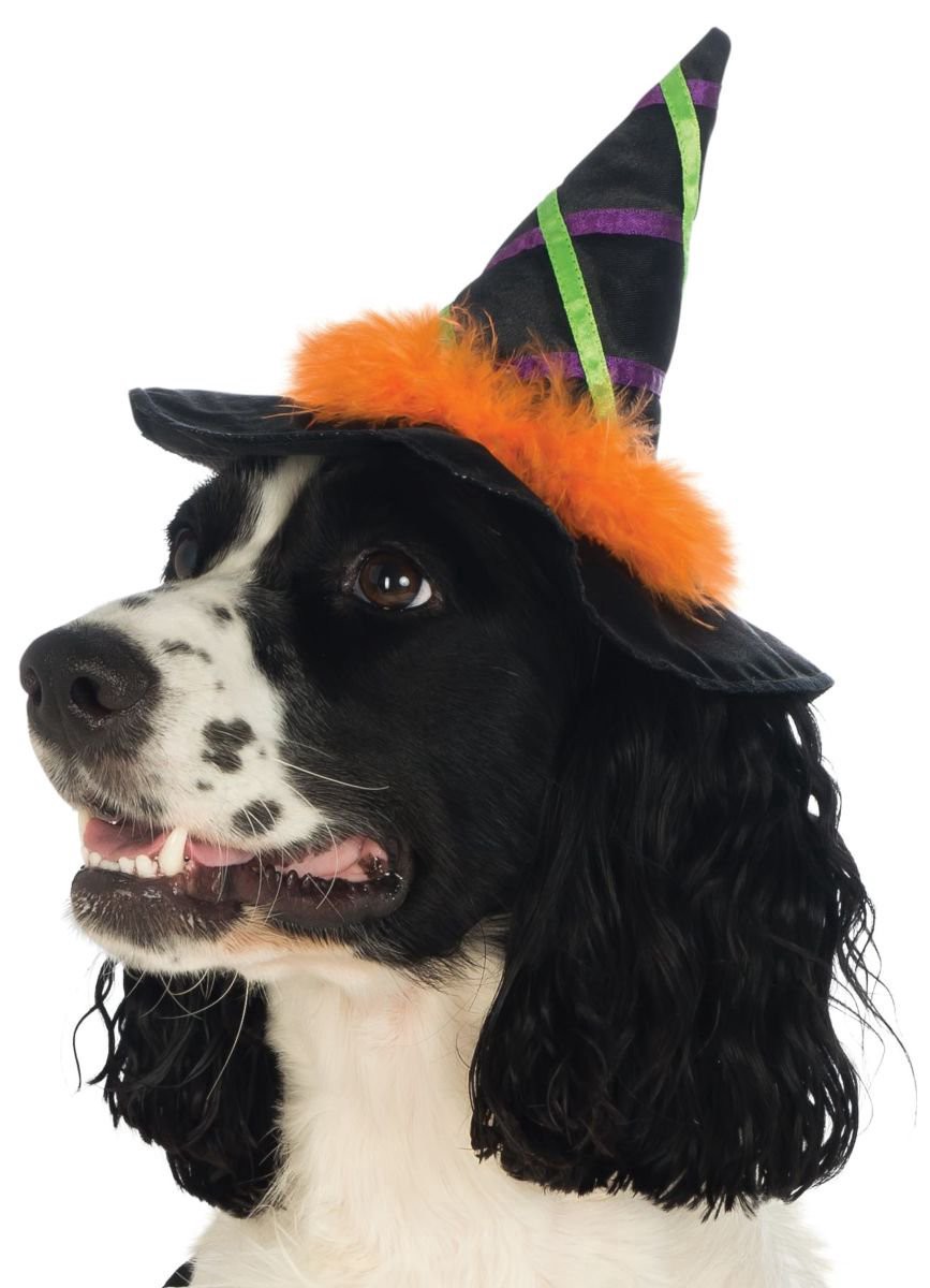 slide 1 of 1, Rubie's Costume Pet Witch Hat w/Trim Med-Lg, 1 ct