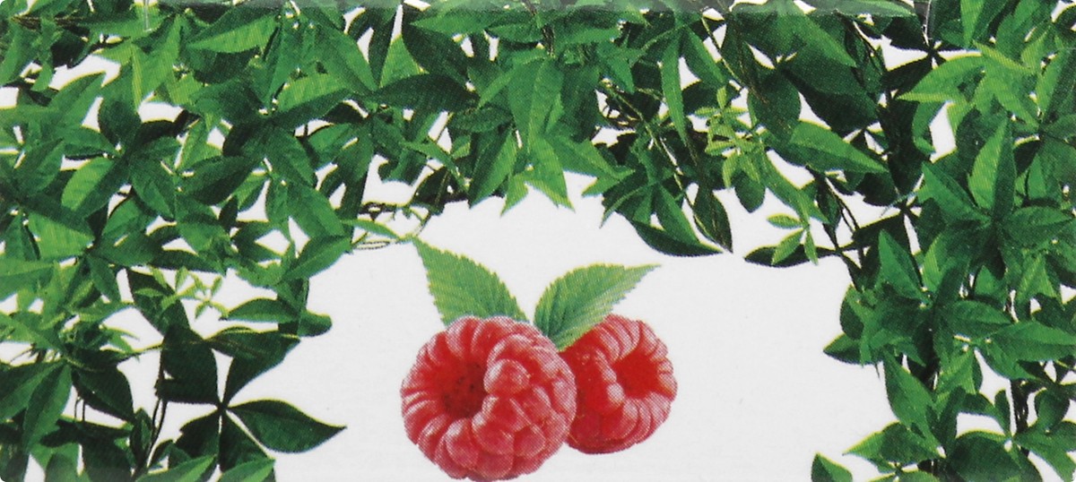 slide 3 of 12, Nailtopia Raspberry Nail Nourishment 12 ml, 12 ml