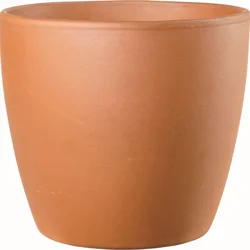 Egg Pot 5.5 in Terra Cotta
