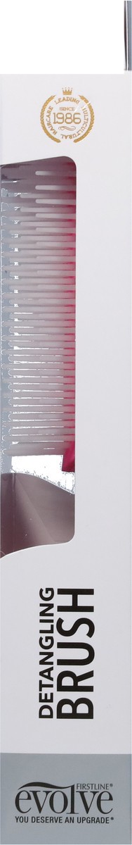 slide 5 of 9, Firstline Evolve Detangling Brush, 1 ct