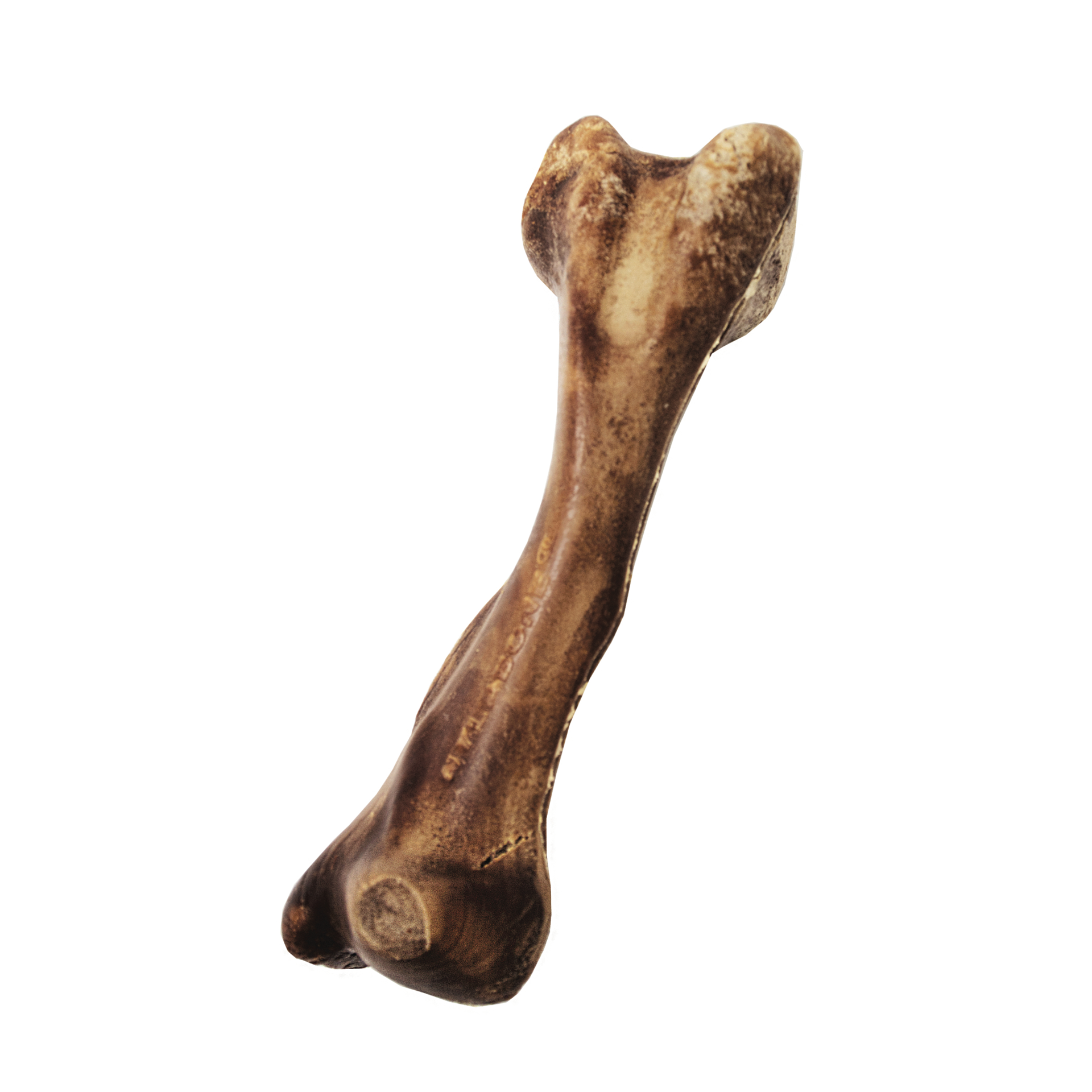 slide 10 of 10, Nylabone H E Wild Venison Lg, 1 ct