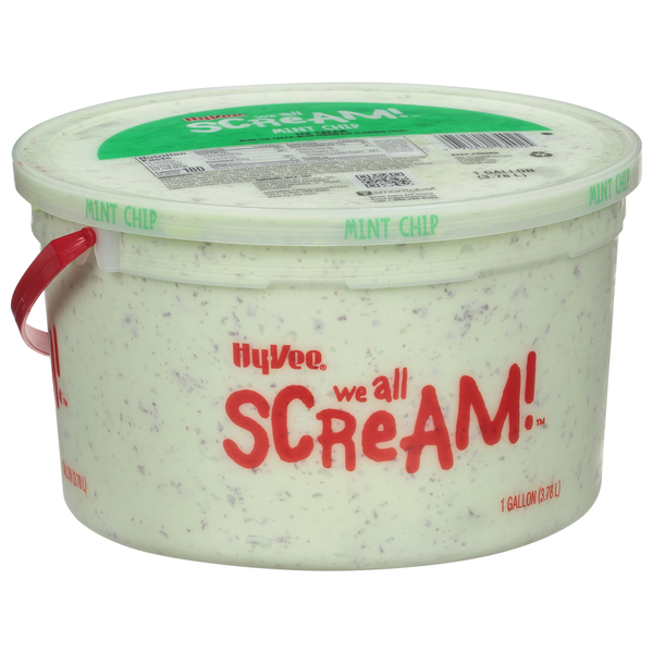slide 1 of 1, Hy-vee Mint Chip Ice Cream, 1 gal
