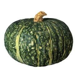 Produce Organic Buttercup Kabocha Squash