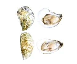 Island Creek Oyster Regular
