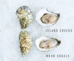 ISLAND CREEK OYSTER REGULAR