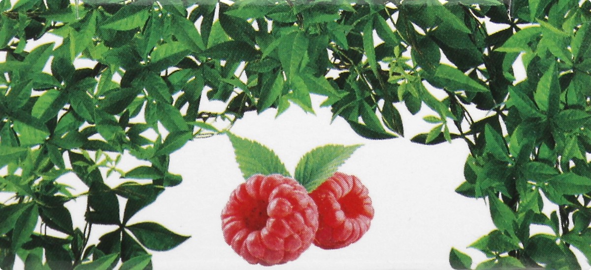 slide 5 of 12, Nailtopia Raspberry Cuticle Hydration 12 ml, 12 ml