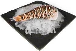 Previously Frozen Warm Water Lobster Tail