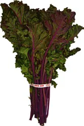 Kale 1 ea