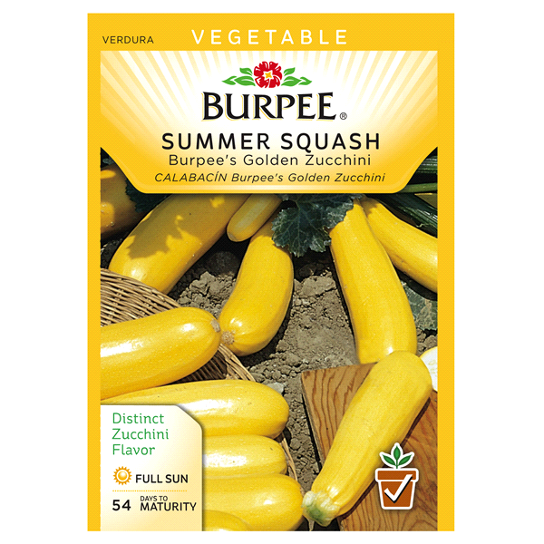 slide 1 of 1, Burpee Summer Squash, Golden Zucchini, 1 ct