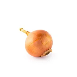 Produce Yellow Onion