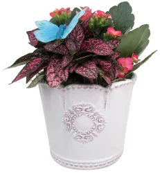 Victorian Garden Sm - Ea