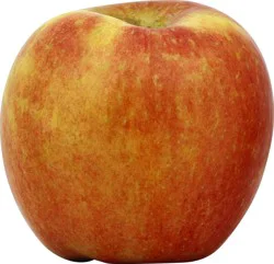 Produce Apple 1 ea