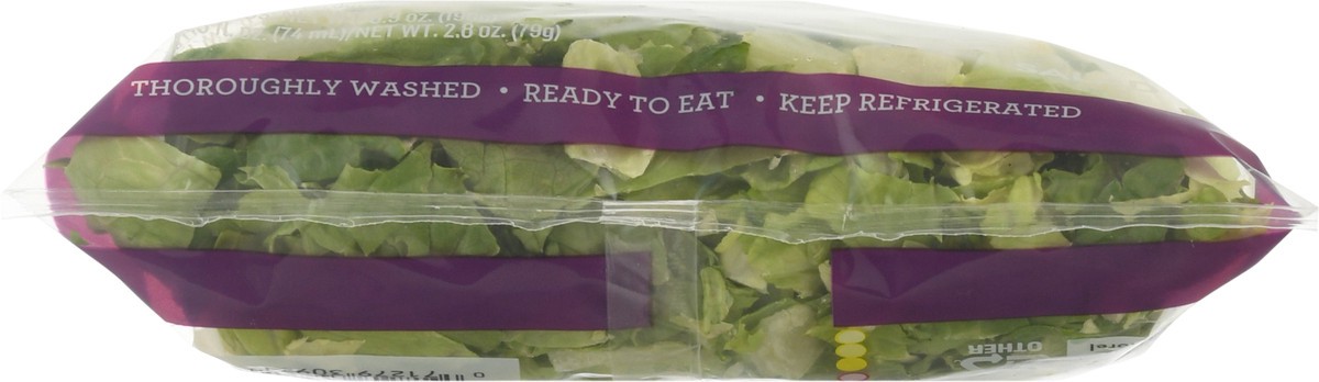 slide 2 of 13, Fresh Express Twisted Avocado Caesar Chopped Salad Kit, 1 ct