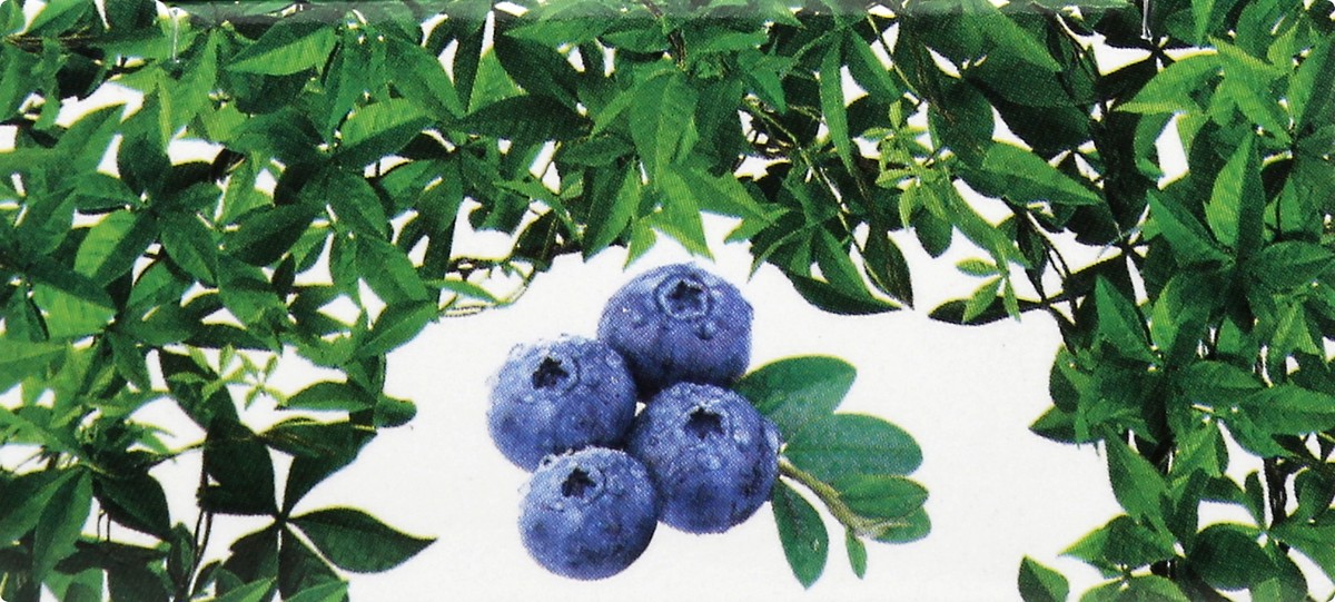 slide 8 of 9, Nailtopia Blueberry Nail Treatment 12 ml, 12 ml