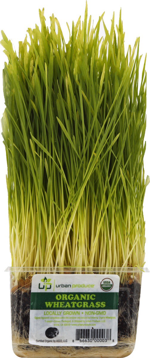 slide 4 of 4, Urban Produce Wheat Grass Organic - Each, per lb