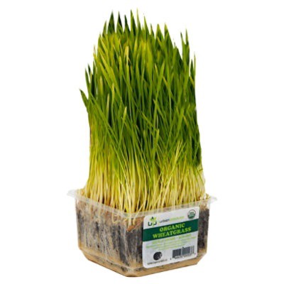 slide 1 of 4, Urban Produce Wheat Grass Organic - Each, per lb