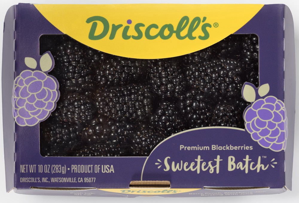 slide 1 of 1, Driscoll's® Sweetest Batch™ Premium Blackberries, 10 oz, 10 oz