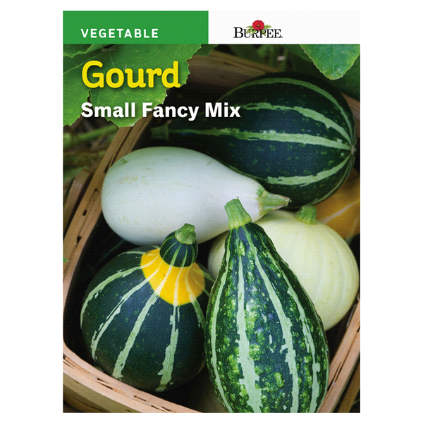 slide 1 of 1, Burpee Small Fancy Mix Gourd Seeds, 1 ct