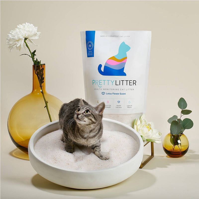 slide 5 of 6, PrettyLitter Lotus Flower Cat Litter - 8lbs, 8 lb