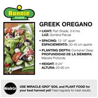 slide 8 of 9, Bonnie Plants  Oregano Greek, 19.3 oz