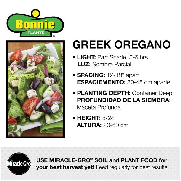 slide 2 of 9, Bonnie Plants  Oregano Greek, 19.3 oz