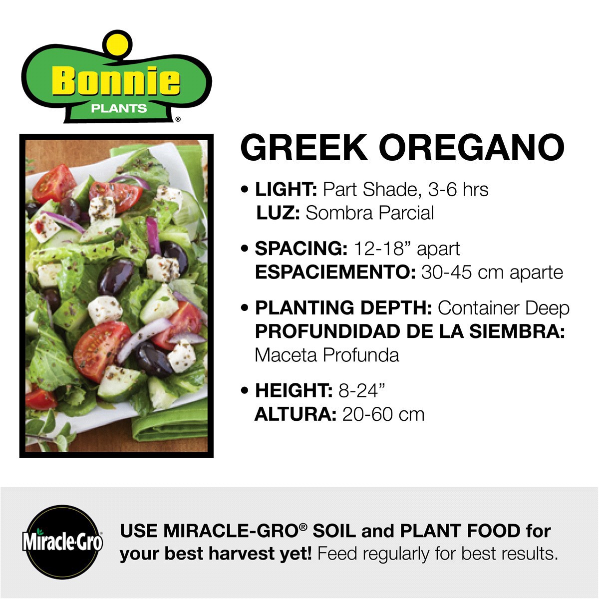 slide 7 of 9, Bonnie Plants  Oregano Greek, 19.3 oz