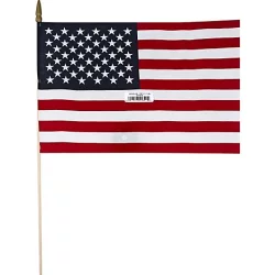 Ann 12x18in Usa Hand Flag - EA