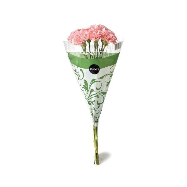 slide 1 of 1, Fancy Carnation Bunch, 1 ct