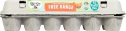 Organic Valley Free Range Extra-Large Brown Eggs 12 ea
