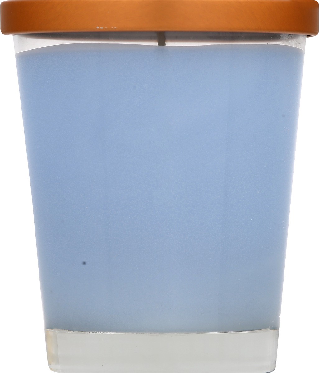 slide 5 of 9, Root Mineral Salts Candle 1 ea, 1 ea