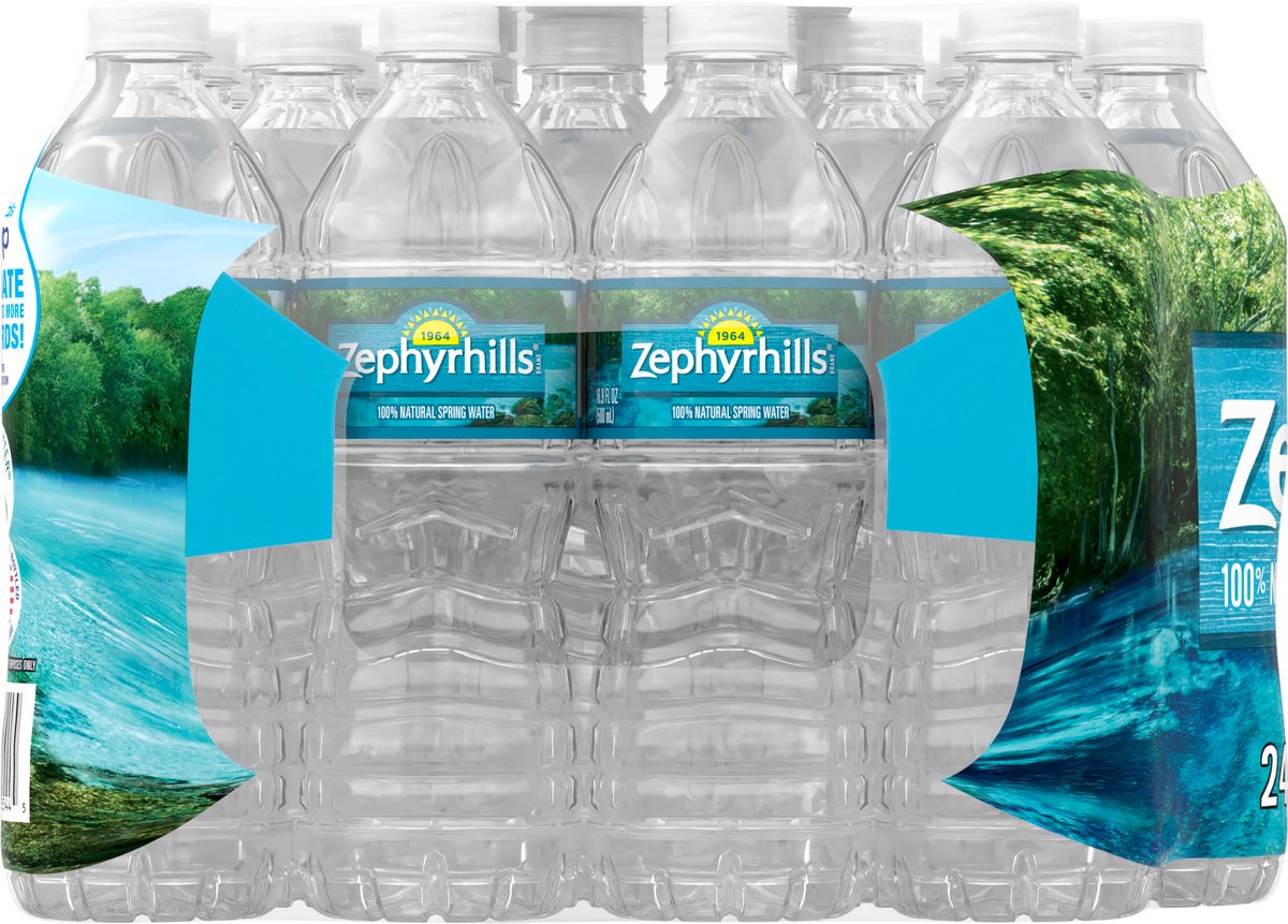 slide 7 of 8, ZEPHYRHILLS Brand 100% Natural Spring Water, (Pack of 24) - 16.9 fl oz, 16.9 fl oz