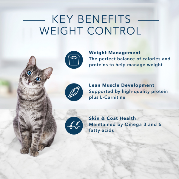 slide 12 of 20, Blue Buffalo Weight Control Adult Chicken - Dry Cat Food, 5 lb