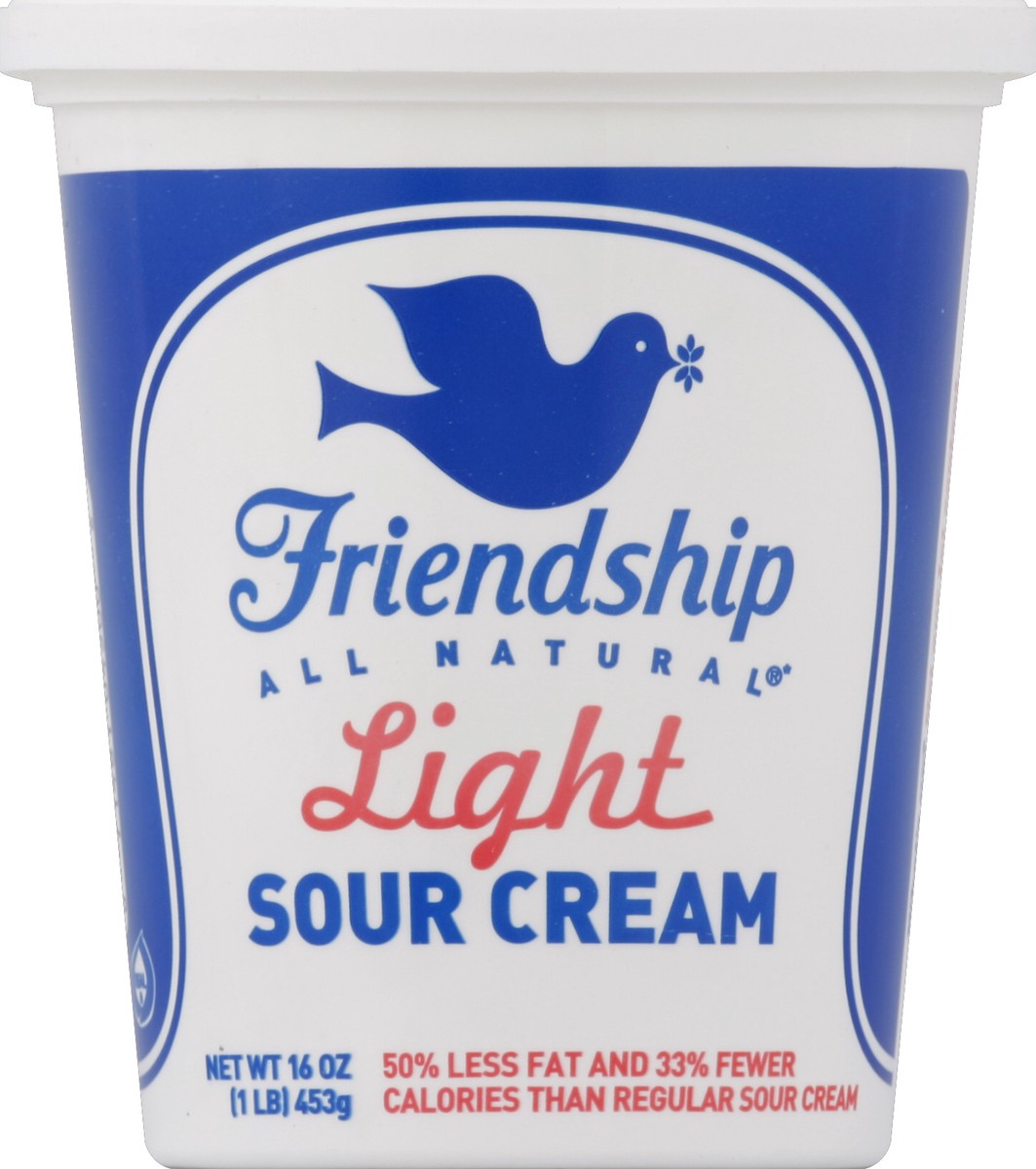 slide 4 of 5, Friendship Dairies Friendship Sour Cream 16 oz, 16 oz