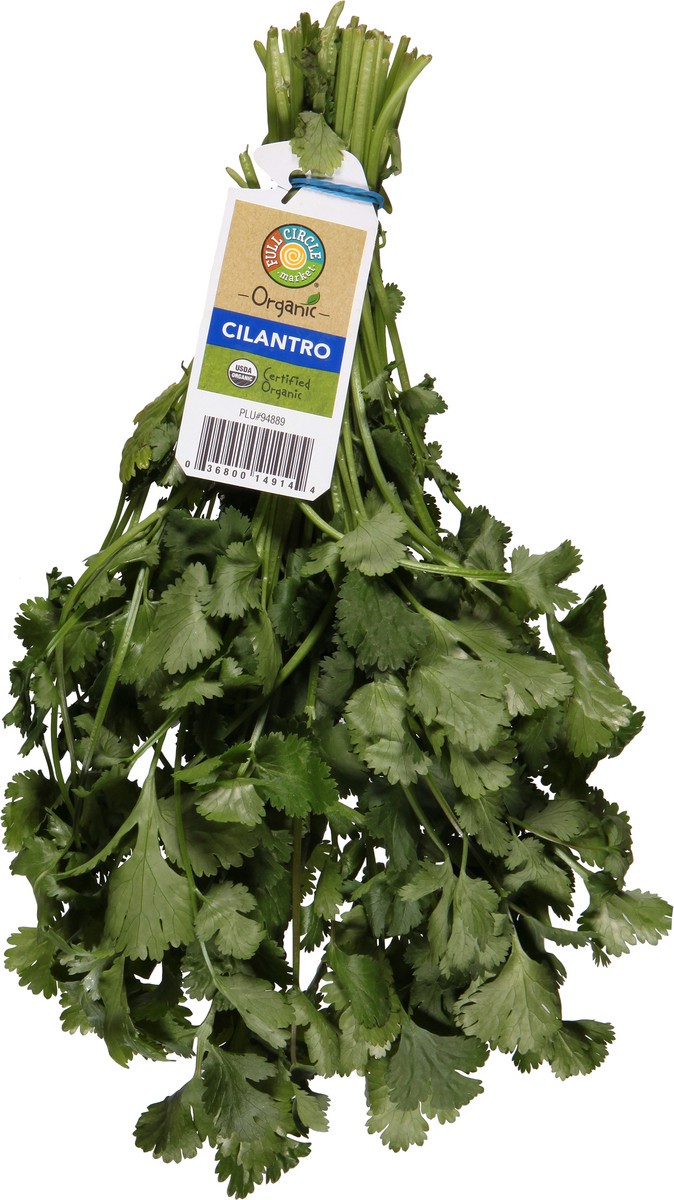 slide 3 of 9, Full Circle Market Organic Cilantro 1 ea, 1 ct