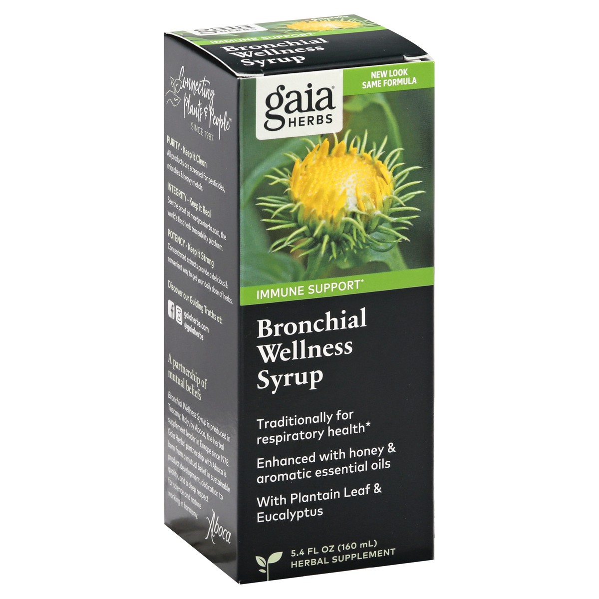slide 2 of 9, Gaia Herbs Bronchial Wellness Syrup 5.4 fl oz, 5.4 fl oz