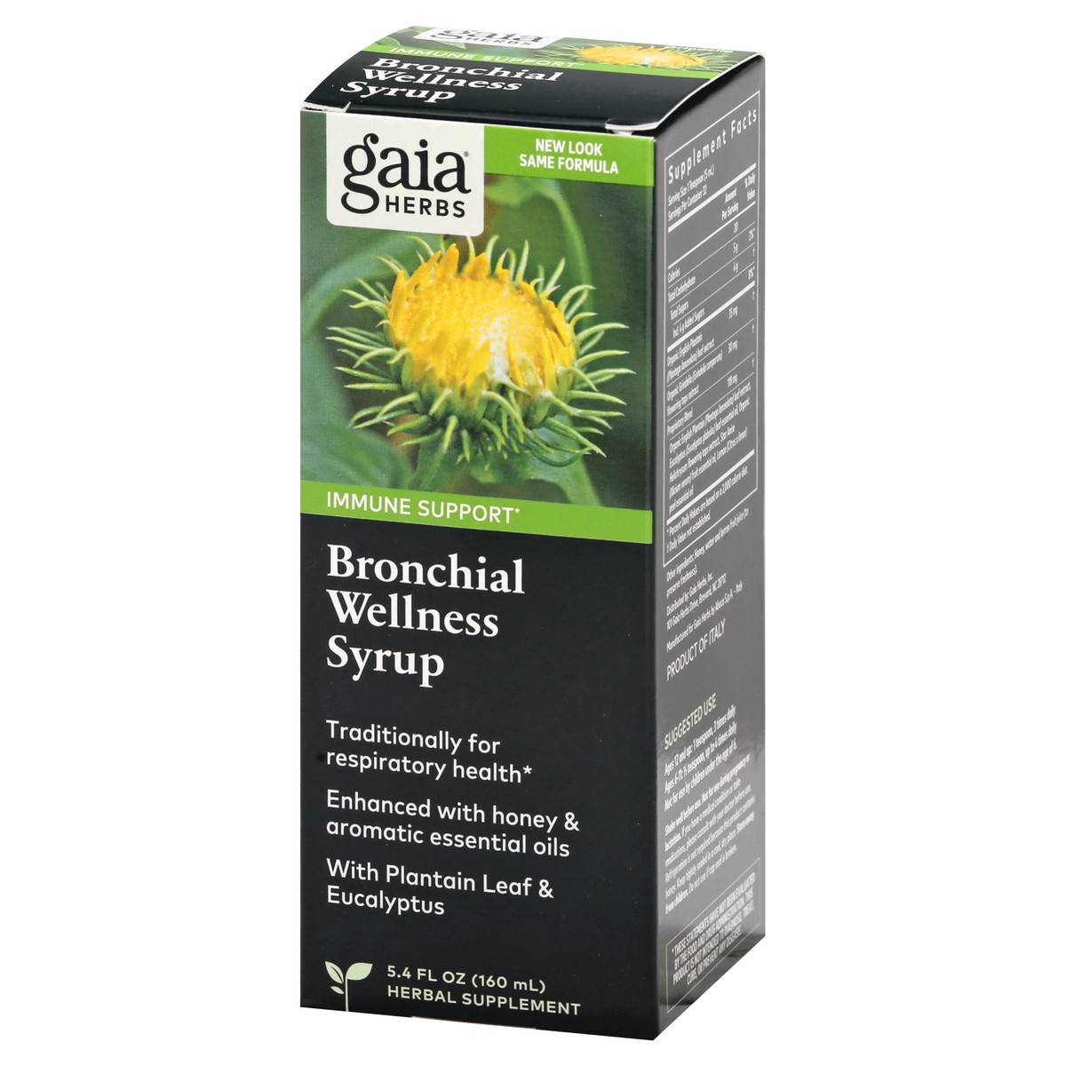 slide 3 of 9, Gaia Herbs Bronchial Wellness Syrup, 5.4 fl oz