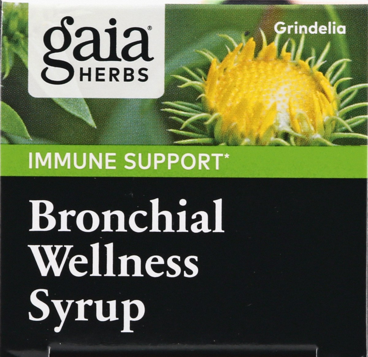 slide 9 of 9, Gaia Herbs Bronchial Wellness Syrup, 5.4 fl oz