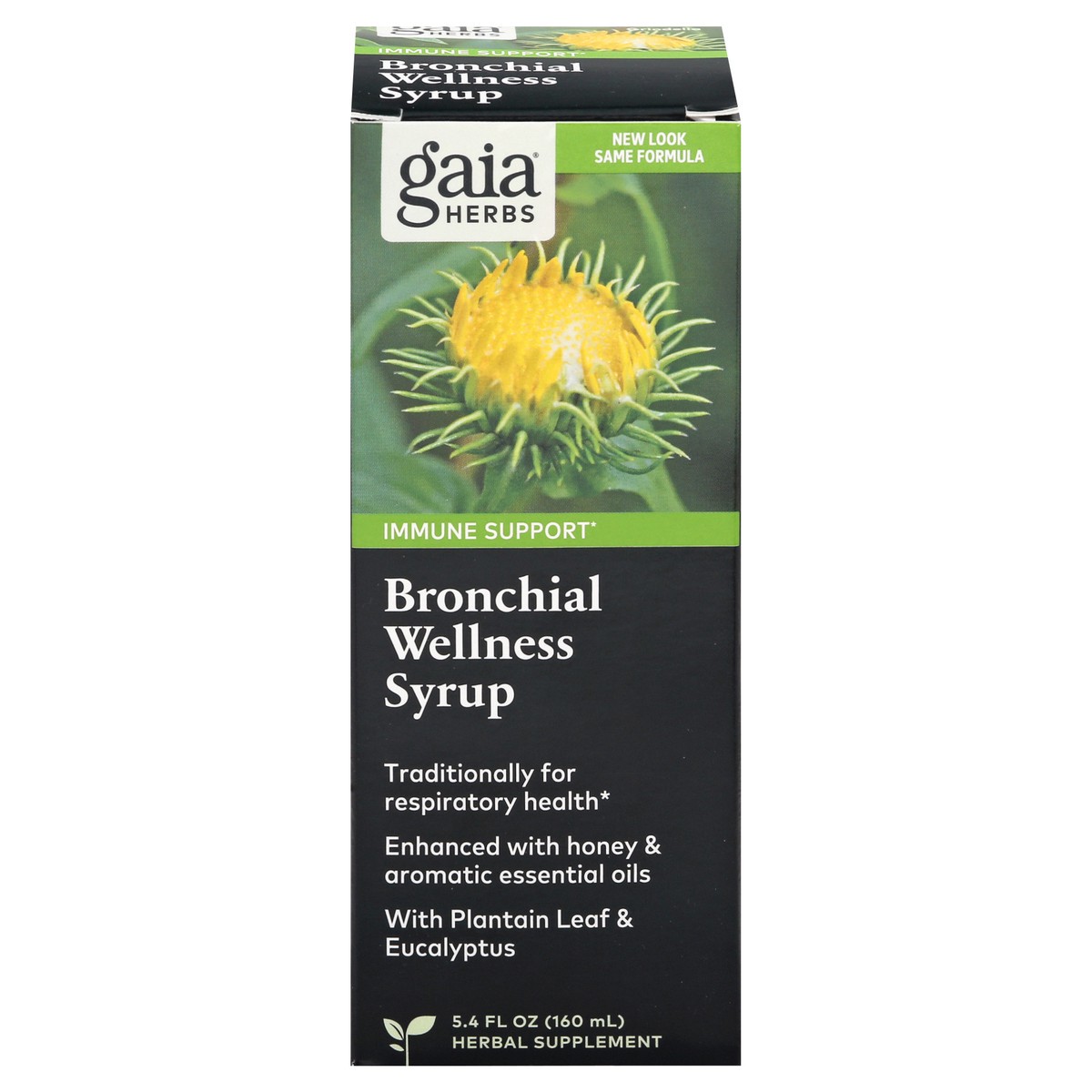 slide 1 of 9, Gaia Herbs Bronchial Wellness Syrup, 5.4 fl oz