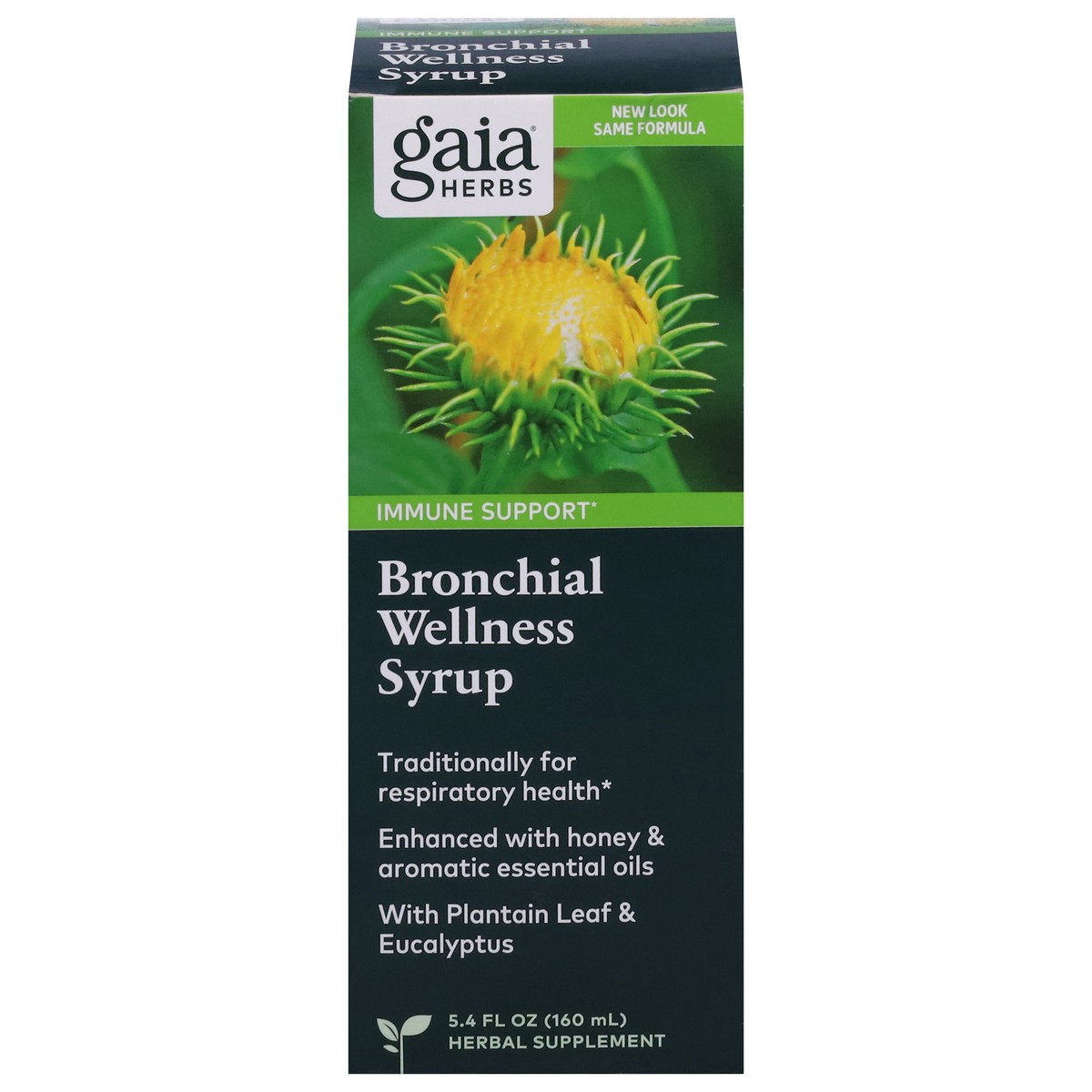 slide 1 of 9, Gaia Herbs Bronchial Wellness Syrup 5.4 fl oz, 5.4 fl oz
