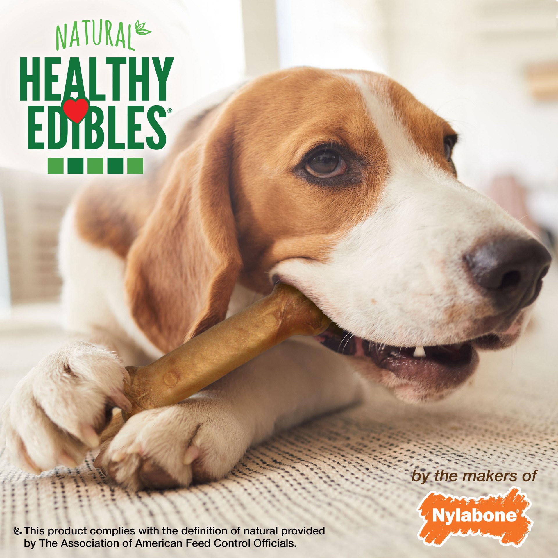 slide 3 of 10, Nylabone Healthy Edibles Bacon Flavor Dog Bones, 2 ct