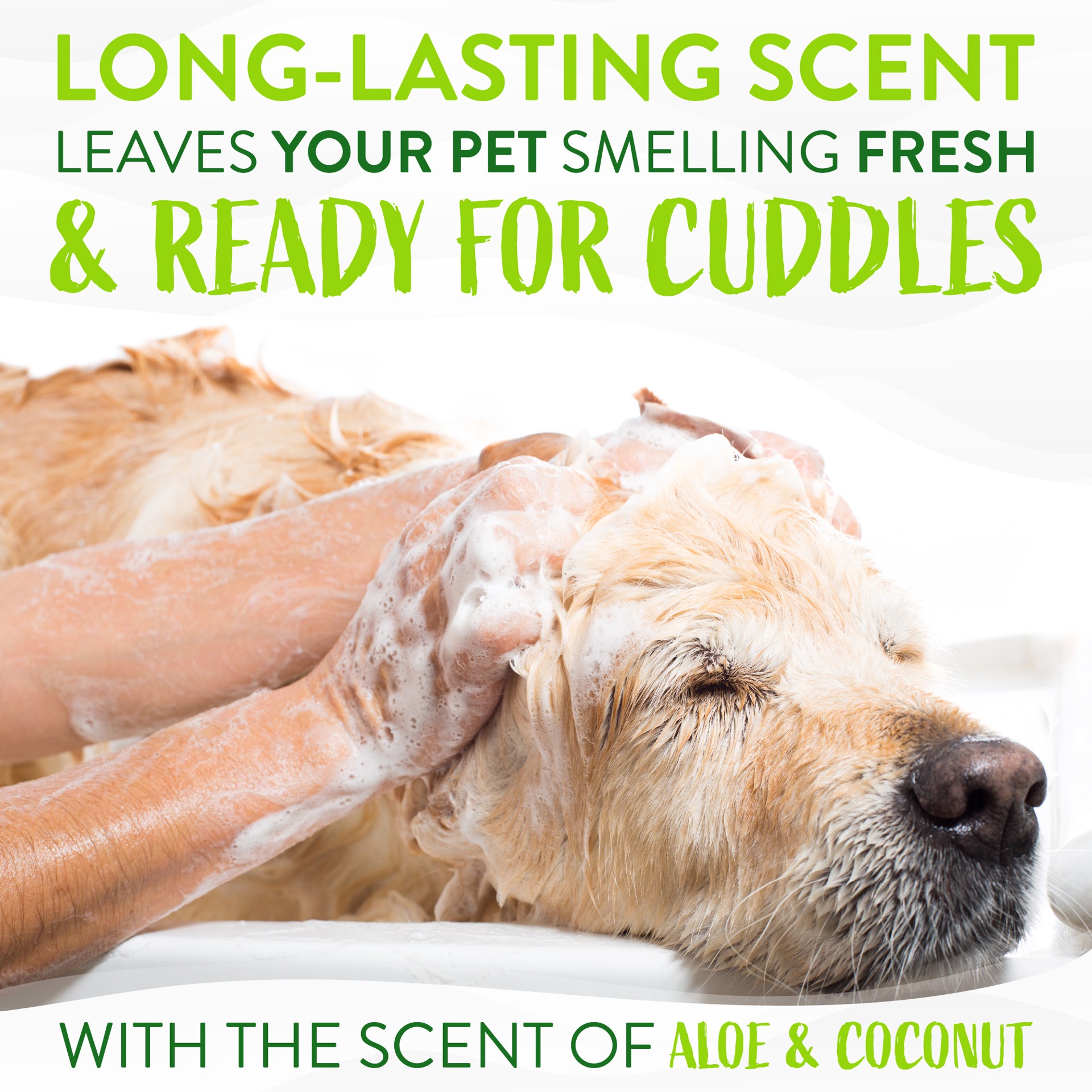 slide 5 of 10, TropiClean Aloe & Coconut Deodorizing Shampoo for Pets, 20oz, 20 fl oz