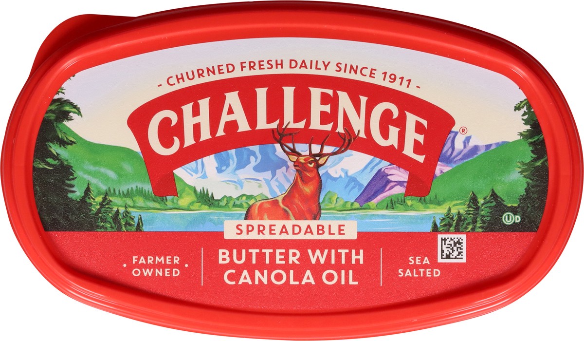 slide 6 of 14, Challenge Spreadable Sea Salted Butter with Canola Oil 24 oz, 24 oz