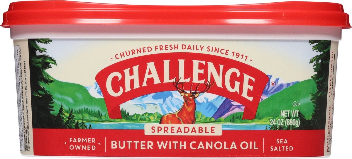 slide 5 of 14, Challenge Spreadable Sea Salted Butter with Canola Oil 24 oz, 24 oz
