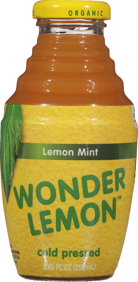 slide 12 of 12, Wonder Lemon Lemon Mint Juice 8.45 fl oz, 8.45 fl oz