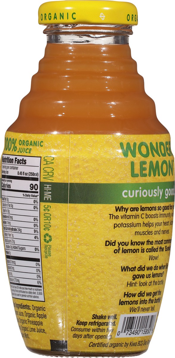 slide 2 of 12, Wonder Lemon Lemon Mint Juice 8.45 fl oz, 8.45 fl oz