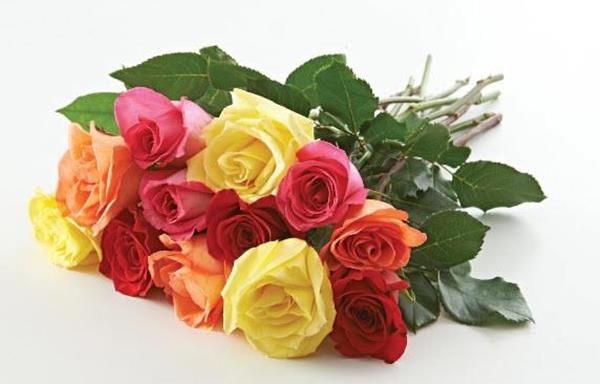 slide 1 of 1, 12 Stem Rose Bouquet - Wrapped (Colors Vary Depending On Availability), 1 ct