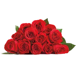 12 Stem Rose Bouquet - Wrapped